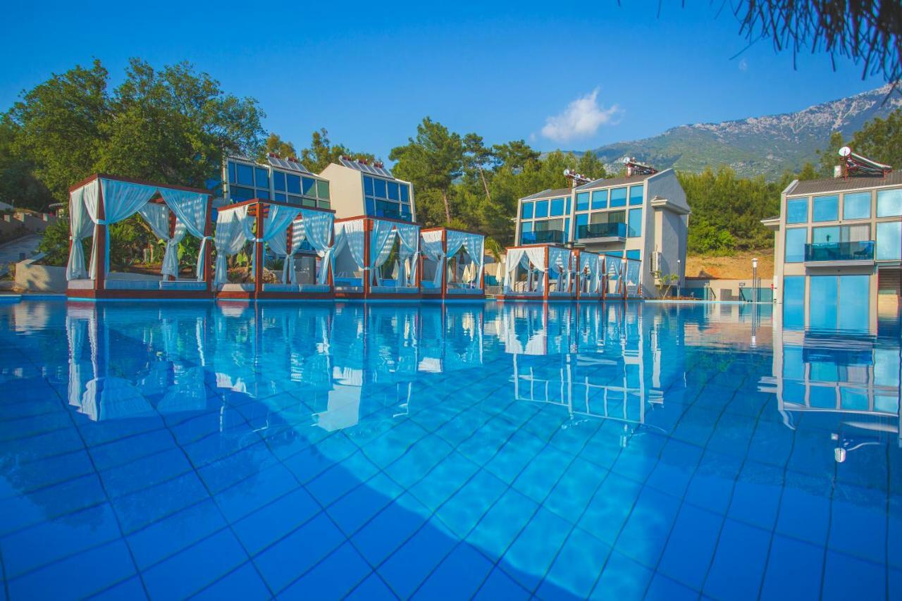 Orka Cove Penthouse&suites